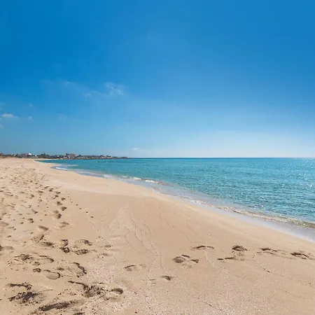 Sofianna By Barbarhouse *